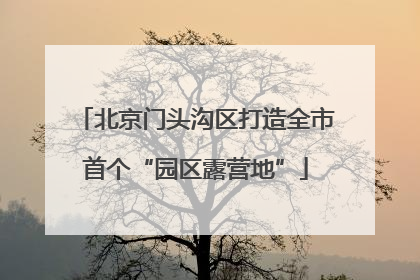 北京门头沟区打造全市首个“园区露营地”
