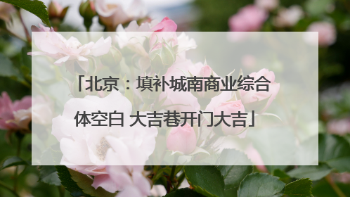 北京：填补城南商业综合体空白 大吉巷开门大吉