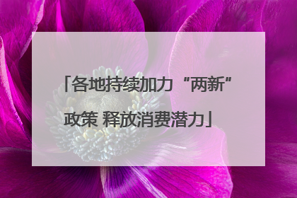 各地持续加力“两新”政策 释放消费潜力