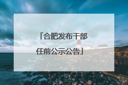 合肥发布干部任前公示公告