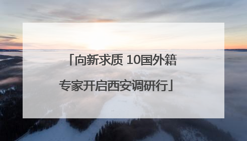 向新求质 10国外籍专家开启西安调研行