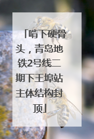 啃下硬骨头，青岛地铁2号线二期下王埠站主体结构封顶