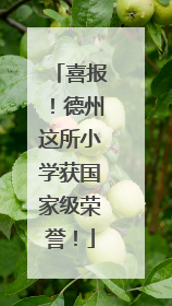 喜报！德州这所小学获国家级荣誉！
