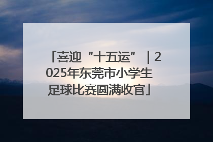 喜迎“十五运”｜2025年东莞市小学生足球比赛圆满收官