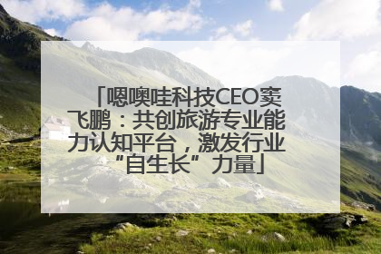 嗯噢哇科技CEO窦飞鹏：共创旅游专业能力认知平台，激发行业“自生长”力量