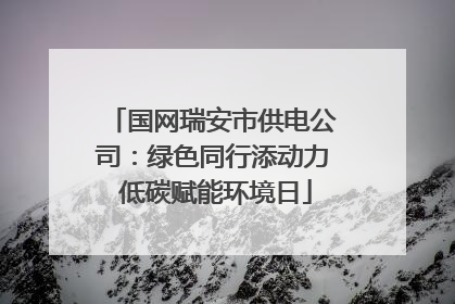 国网瑞安市供电公司：绿色同行添动力 低碳赋能环境日