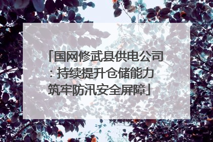 国网修武县供电公司：持续提升仓储能力 筑牢防汛安全屏障
