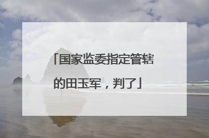 国家监委指定管辖的田玉军，判了