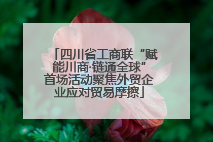 四川省工商联“赋能川商·链通全球”首场活动聚焦外贸企业应对贸易摩擦