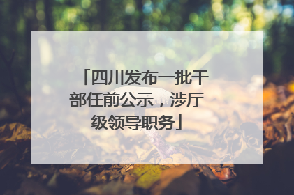 四川发布一批干部任前公示，涉厅级领导职务