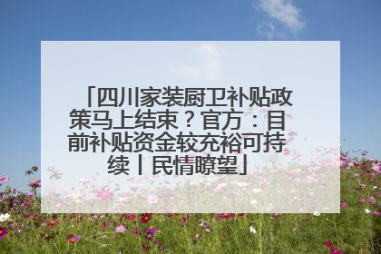 四川家装厨卫补贴政策马上结束？官方：目前补贴资金较充裕可持续丨民情瞭望