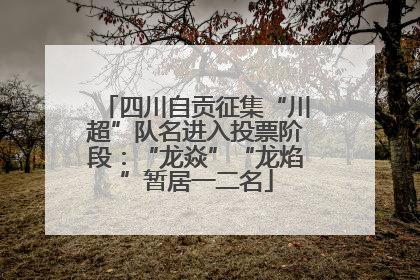 四川自贡征集“川超”队名进入投票阶段：“龙焱”“龙焰”暂居一二名