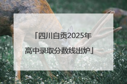 四川自贡2025年高中录取分数线出炉