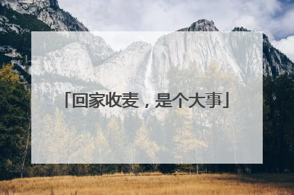 回家收麦，是个大事