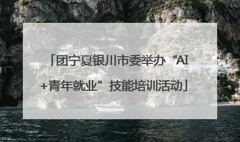 团宁夏银川市委举办“AI+青年就业”技能培训活动