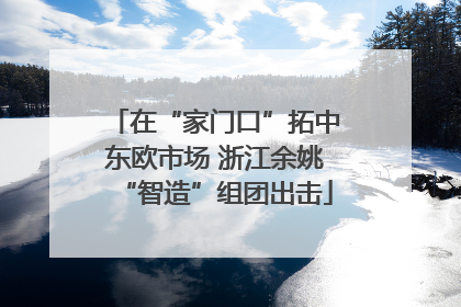 在“家门口”拓中东欧市场 浙江余姚“智造”组团出击