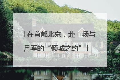 在首都北京，赴一场与月季的“倾城之约”