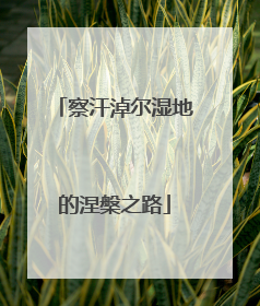 察汗淖尔湿地的涅槃之路