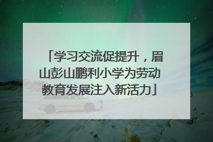 学习交流促提升，眉山彭山鹏利小学为劳动教育发展注入新活力