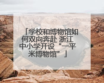 学校和博物馆如何双向奔赴 浙江中小学开设“一平米博物馆”