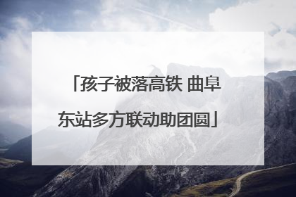 孩子被落高铁 曲阜东站多方联动助团圆
