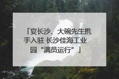 宴长沙、大碗先生携手入驻 长沙佳海工业园“满员运行”