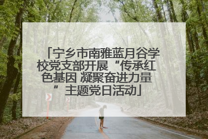 宁乡市南雅蓝月谷学校党支部开展“传承红色基因 凝聚奋进力量”主题党日活动