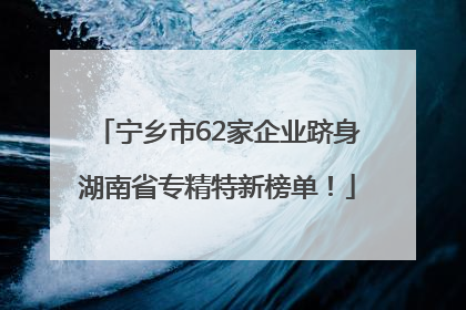 宁乡市62家企业跻身湖南省专精特新榜单！