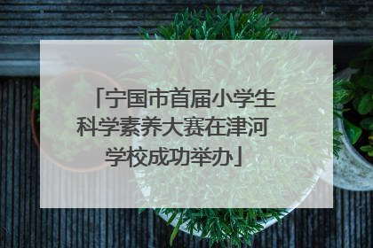 宁国市首届小学生科学素养大赛在津河学校成功举办