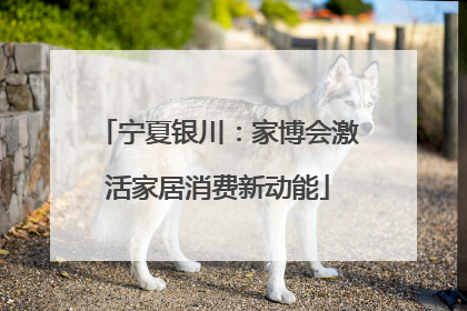 宁夏银川：家博会激活家居消费新动能