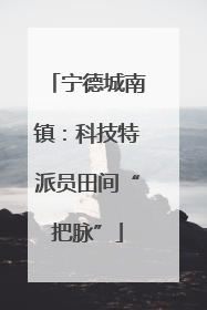 宁德城南镇：科技特派员田间“把脉”