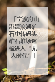 宁波舟山港鼠浪湖矿石中转码头矿石堆场巡检进入“无人时代”