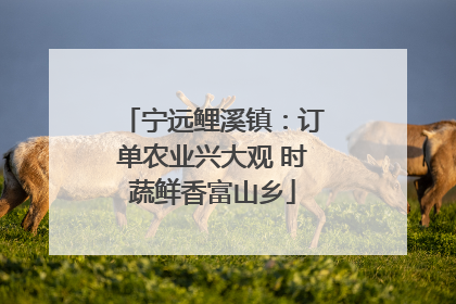 宁远鲤溪镇：订单农业兴大观 时蔬鲜香富山乡