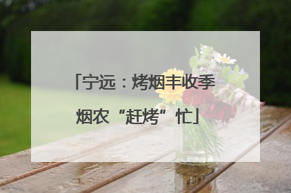 宁远：烤烟丰收季 烟农“赶烤”忙