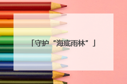守护“海底雨林”