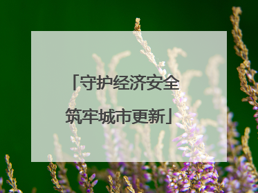 守护经济安全 筑牢城市更新