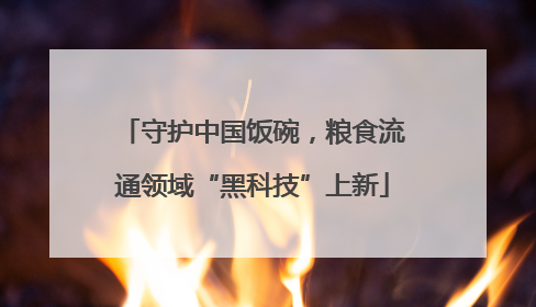 守护中国饭碗，粮食流通领域“黑科技”上新