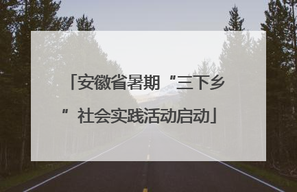 安徽省暑期“三下乡”社会实践活动启动