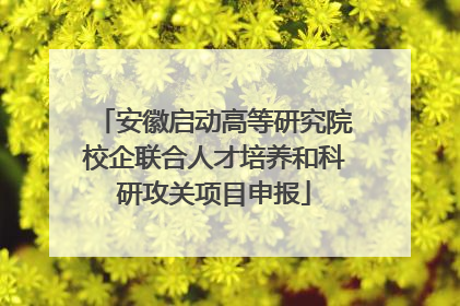 安徽启动高等研究院校企联合人才培养和科研攻关项目申报