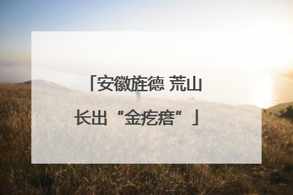 安徽旌德 荒山长出“金疙瘩”