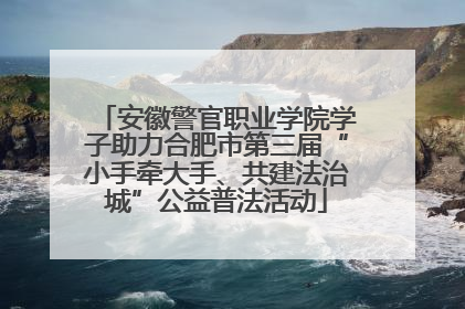 安徽警官职业学院学子助力合肥市第三届“小手牵大手、共建法治城”公益普法活动