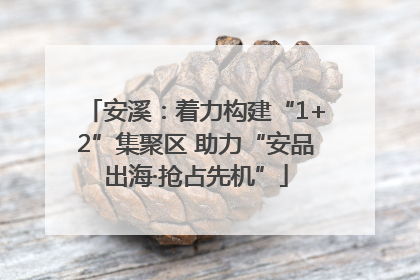 安溪：着力构建“1+2”集聚区 助力“安品出海·抢占先机”