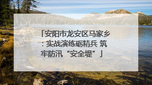 安阳市龙安区马家乡：实战演练砺精兵 筑牢防汛“安全堤”