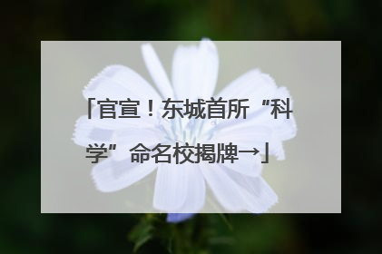 官宣！东城首所“科学”命名校揭牌→