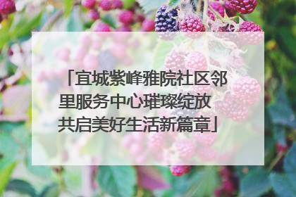 宜城紫峰雅院社区邻里服务中心璀璨绽放 共启美好生活新篇章
