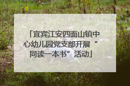 宜宾江安四面山镇中心幼儿园党支部开展“同读一本书”活动