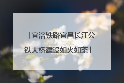 宜涪铁路宜昌长江公铁大桥建设如火如荼