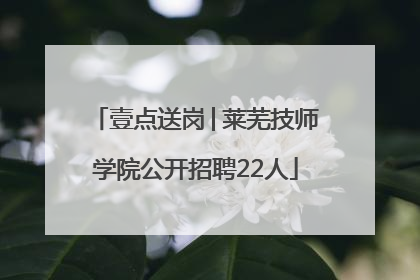 壹点送岗│莱芜技师学院公开招聘22人