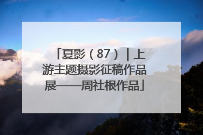 夏影（87）｜上游主题摄影征稿作品展——周社根作品