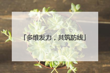 多维发力，共筑防线